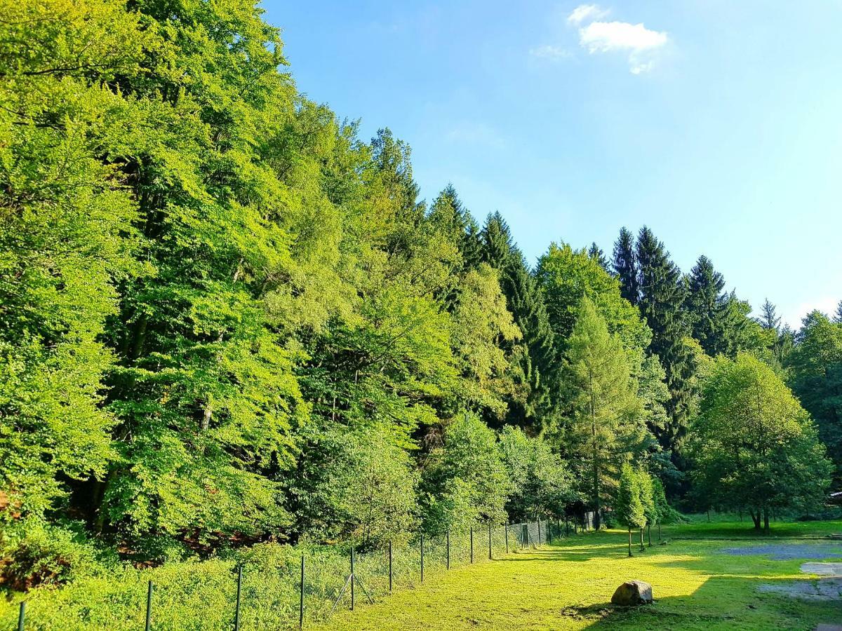 Chata Lesne Dolni Podluzi Exterior foto