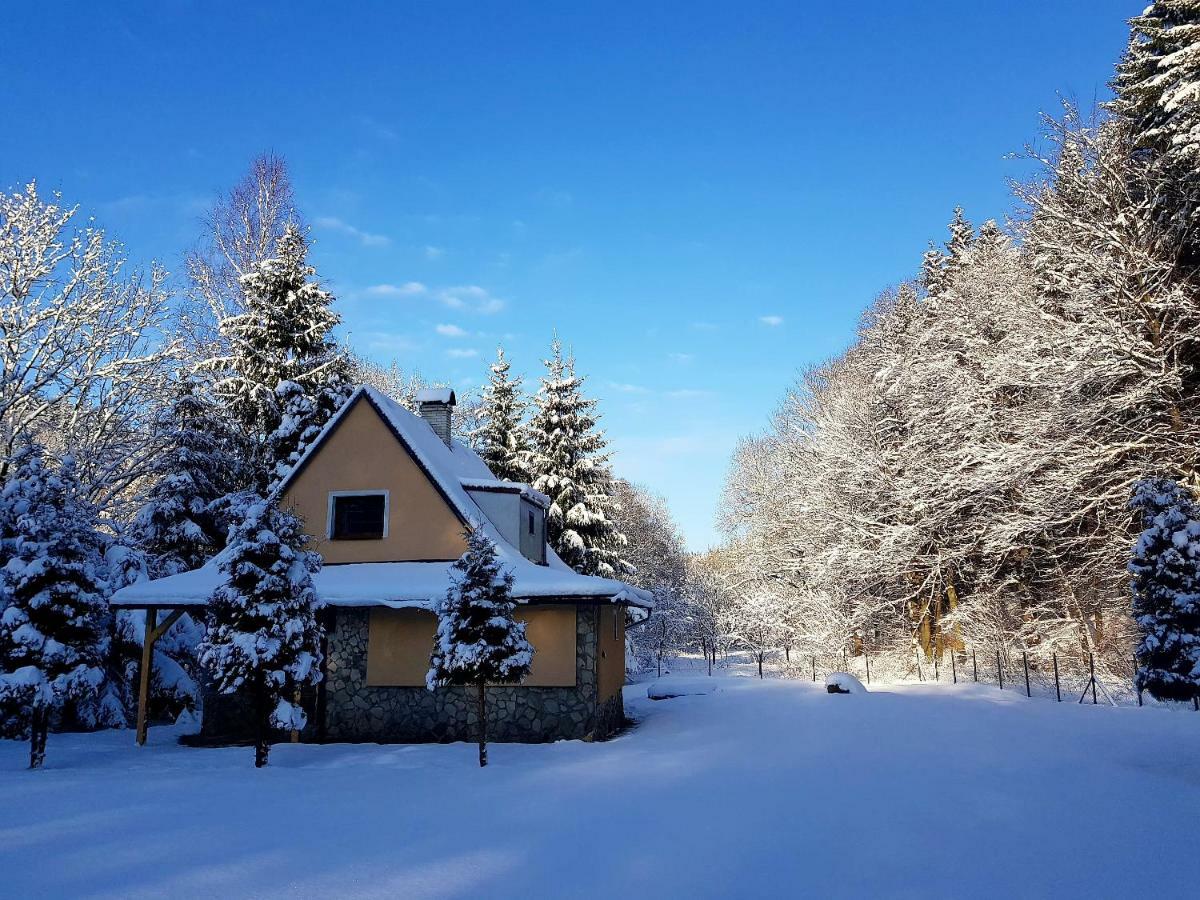 Chata Lesne Dolni Podluzi Exterior foto